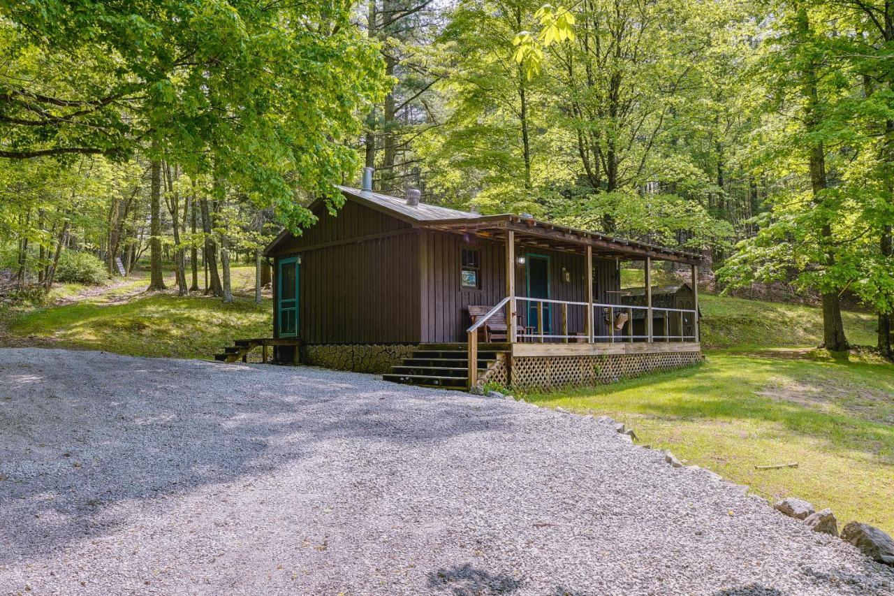 Cozy Green Bank Cabin About 2 Mi To Observatory! Dunmore Екстериор снимка